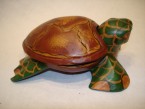 tortue coloré